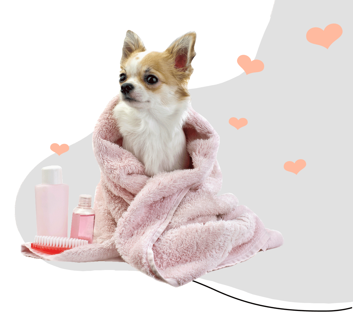 https://pamperedpawssd.com/wp-content/uploads/2020/07/puppy-love-contact-page.png