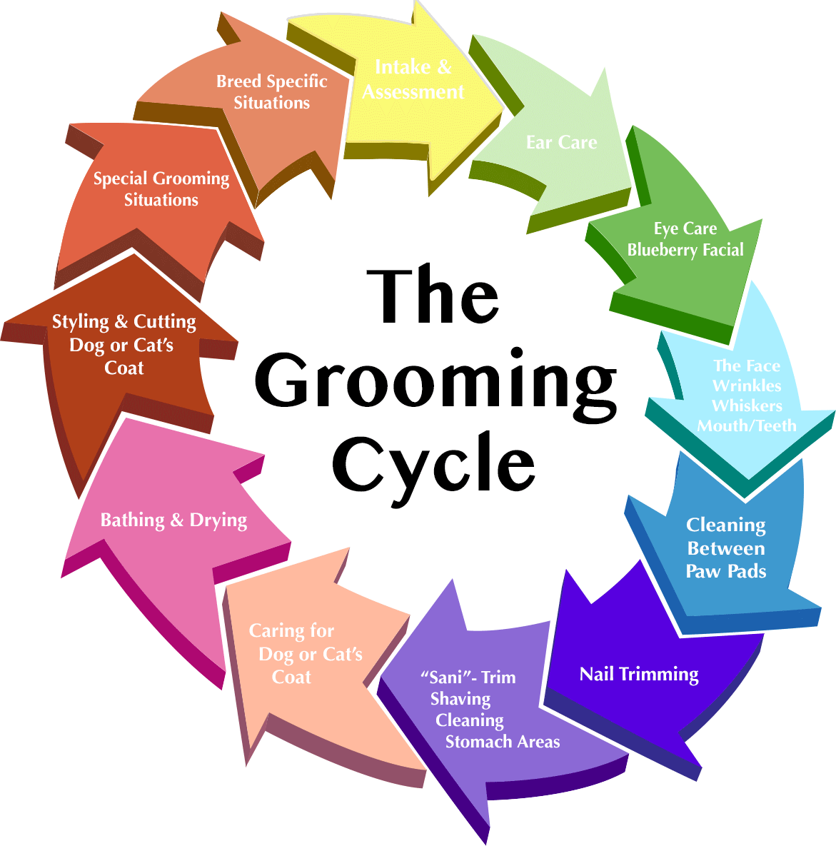 https://pamperedpawssd.com/wp-content/uploads/2020/08/GroomingCycleAnimated05.gif